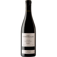 Bodegas Mas Martinet Cami Pesseroles DOQ - - Katalonien, Spanien