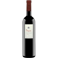 Bodegas Aragonesas Fagus Seleccion Especial - - Somontano, Spanien