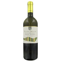 Elena Walch Pinot Grigio DOC Castel Ringberg - - Trentino, Italien