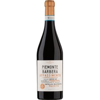 Cantina San Silvestro Barbera Passito Appassimento Piemonte DOC - - Piemont, Italien