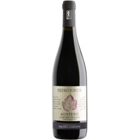 Pietro Zardini Austero IGT Corvina Rosso Veronese - - Veneto, Italien