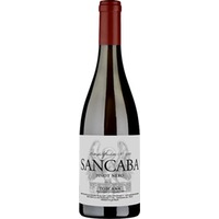 Vini Franchetti Sancaba Pinot Nero – Toscana IGT - - Toskana, Italien