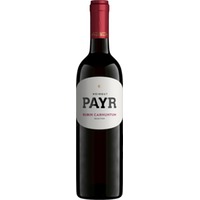 Weingut Payr Zweigelt Rubin Carnuntum Qualitätswein - - Carnuntum, Österreich