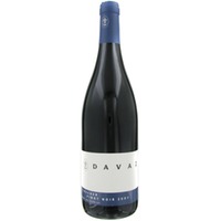 Weingut Davaz Flascher Pinot Noir Uris - - Ostschweiz, Schweiz