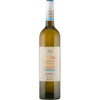 Cantine Spinelli Passerina IGT Terre di Chieti Rue di Piane - - Abruzzen, Italien