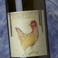 Rietsch Coquette