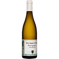 Domaine Guy Amiot et Fils : Bourgogne Chardonnay Cuvée Flavie