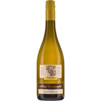 Cantine Monfort Maso Papa Pinot Grigio Vigna delle Dolomiti IGT - - Trentino, Italien