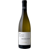 Albert Morot : Bourgogne Chardonnay