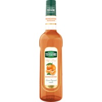 Profisirup Mandarine 0,7l - Mathieu Teisseire