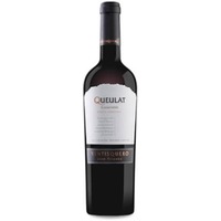 Queulat Gran Reserva Carmenère Syrah