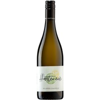 VOLLMOND Chasselas trocken Bio - Weingut Harteneck