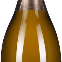 Champagne Premier Cru Brut Blanc de Blancs