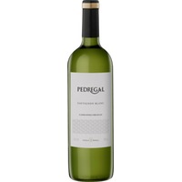 Pedregal Sauvignon Blanc - Antigua Bodega