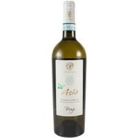 Vini Biagi Ashe DOC Trebbiano d'Abruzzo - - Abruzzen, Italien