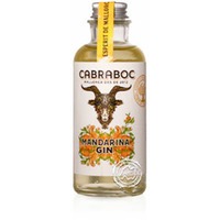 Cabraboc Gin Mandarina Mini 40 %, 0,1-l-Flasche