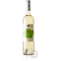 Can Rich Blanco, Vino Blanco 2023, 0,75-l-Flasche