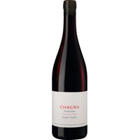 Cincuenta y Cinco Pinot Noir Rio Negro, Patagonia