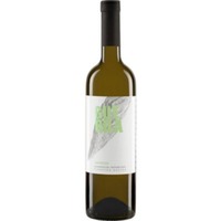 Malvazija Classic Vipavska Dolina Zgp Guerila wines - Guerila Wines