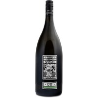 Grüner Veltliner Ried Spiegel Feuersbrunn