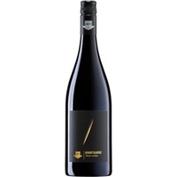 2022/2024 Shiraz – Avantgarde trocken