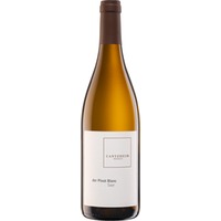 Der Pinot Blanc trocken - Weingut Cantzheim