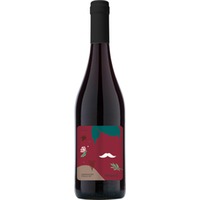 Legàmi Negroamaro Puglia IGP trocken - Frisino