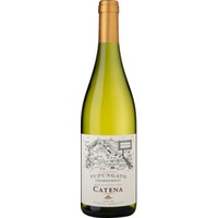 Catena Appellation Tupungato Chardonnay, Mendoza, Mendoza, 2023, Weißwein