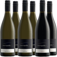 Martin Pasler Kennenlern-Paket - Weingut Martin Pasler
