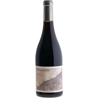 La Viña Escondida Méntrida DO trocken - Bodegas Canopy