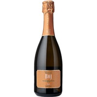 Prosecco Cuvée di BOJ DOCG Brut - Valdo