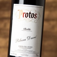 Protos Roble