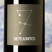 MicroBio Sietejuntos Merlot