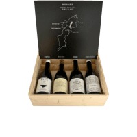 Sammlerbox: Reimagine Burgenland Grüner Veltliner