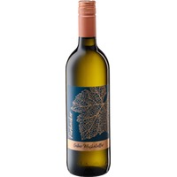 Gelber Muskateller BIO - Bio-Weingut Fürhacker