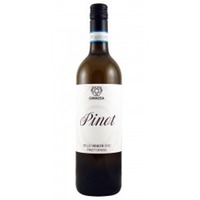 Pinot Grigio DOC