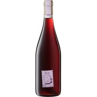 Pinot Noir BIO - Weingut Glatzer