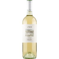 Liber Bianco Veronese IGP trocken Bio - Società Agricola Fasoli Gino