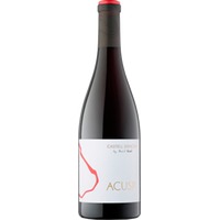 Castell d'Encús Acusp