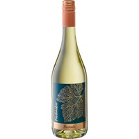 Grüner Veltliner Frizzante BIO - Bio-Weingut Fürhacker