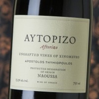 Thymiopoulos Aftorizo