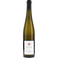 Riesling GG Monopol ODINSTAL (bio)