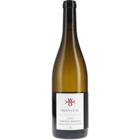 Weissburgunder GG Monopol ODINSTAL (bio)