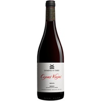Dominio de Tares »Cepas Viejas« Mencía Spanien Rotwein Trocken