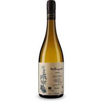 Weißburgunder Bio trocken