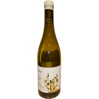 Mas Comtal Gran Angular Blanc De Noir DO Penedes - - Katalonien, Spanien