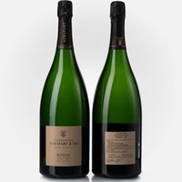 Minéral Extra Brut Blanc de Blancs Grand Cru