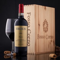 Montepulciano d'Abruzzo Riserva Orsus Gold