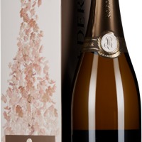 Champagne Brut Vintage im Geschenkkarton