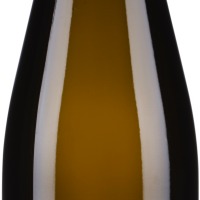 Grüner Veltliner Ried Lamm 1ÖTW Erste Lage